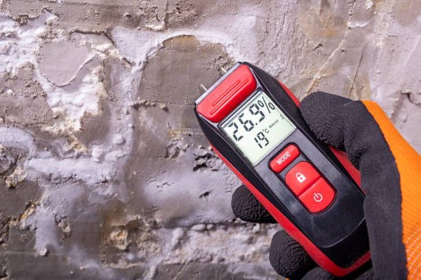 Best DIY Mold Remediation Support Services in Boutte, LA